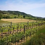 Pizzulin - Wine & Living