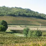 Pizzulin - Wine & Living בית חווה Prepotto (Udine)