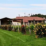 Pizzulin - Wine & Living *