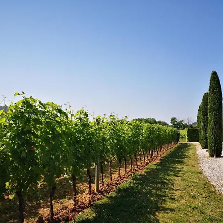 Pizzulin - Wine & Living *