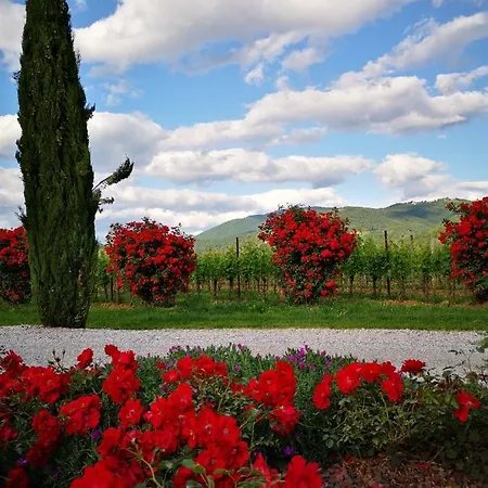 Farm stay Pizzulin - Wine & Living