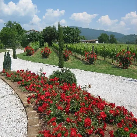 Pizzulin - Wine & Living