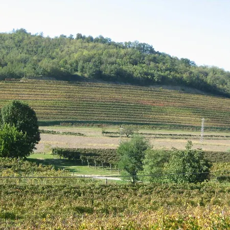 Pizzulin - Wine & Living Alojamento de Turismo Rural Prepotto (Udine)