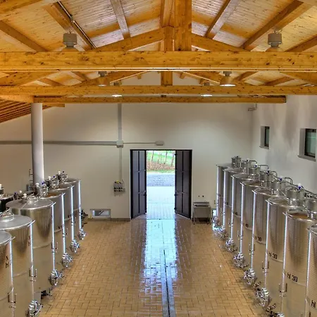 Pizzulin - Wine & Living Farm stay Prepotto (Udine)