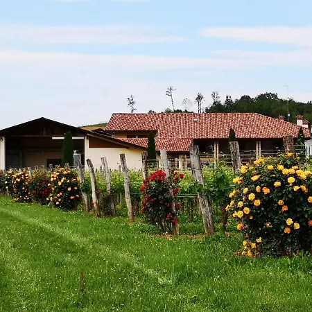 Pizzulin - Wine & Living *