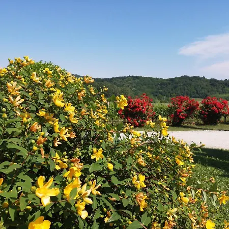 Pizzulin - Wine & Living Farm stay
