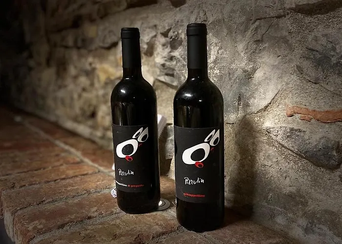 Séjour à la ferme Pizzulin - Wine & Living Prepotto (Udine)